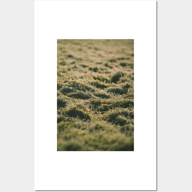 Grass Grass Grass Wall Art by XOXOX